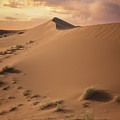 Lines And Dunes In Sahara Desert by Cavan Images