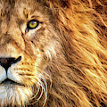 Lion Face Painting by Tina LeCour Lion Face Painting by Tina LeCour