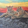 Lion Sunset by John Neeve Lion Sunset by John Neeve