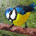 Little Blue Tit Painting by Barbara O'Toole Little Blue Tit Painting by Barbara O'Toole