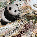 Little Panda2 by Francesca Kee Little Panda2 by Francesca Kee