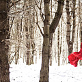 Little Red Riding Hood Photograph by Trevor Slauenwhite Little Red Riding Hood Photograph by Trevor Slauenwhite
