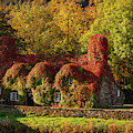 Llanrwst Tea Room Autumn by Adrian Evans Llanrwst Tea Room Autumn by Adrian Evans