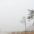 Loch Ard Misty Autumn Morning Photograph by Grant Glendinning Loch Ard Misty Autumn Morning Photograph by Grant Glendinning