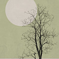 Lonely Winter Tree by Naxart Studio Lonely Winter Tree by Naxart Studio