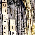 Love Country Life by Gerald Kloss Love Country Life by Gerald Kloss
