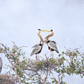 Love Is In The Air - Great Blue Herons Photograph by Debra Martz Love Is In The Air - Great Blue Herons Photograph by Debra Martz
