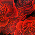 Love Roses Painting by Lynne Pittard Love Roses Painting by Lynne Pittard