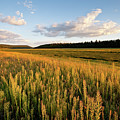 Lower Lake Mary at Sunset Photograph by Jeff Goulden Lower Lake Mary at Sunset Photograph by Jeff Goulden