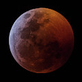 Lunar Eclipse 2019_11h44m by Dennis Sprinkle