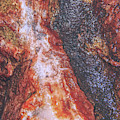 Macro Quartz Rock Photograph by Phil Perkins Macro Quartz Rock Photograph by Phil Perkins
