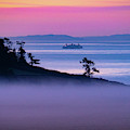 Magical Morning Commute Photograph by Leslie Struxness Magical Morning Commute Photograph by Leslie Struxness
