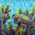 Mandarinfish by Sue Duda Mandarinfish by Sue Duda