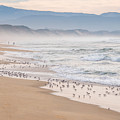 Marina State Beach Photograph by Derek Dean Marina State Beach Photograph by Derek Dean