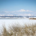 McIntosh Lake Longmont CO Photograph by Veronica Batterson McIntosh Lake Longmont CO Photograph by Veronica Batterson