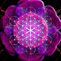 Metatron's Cube on fractal pletals Digital Art by Alexa Szlavics Metatron's Cube on fractal pletals Digital Art by Alexa Szlavics