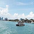 Miami8 Photograph by Merle Grenz