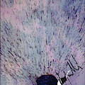 Mind Digital Art by Jimmy Williams Mind Digital Art by Jimmy Williams