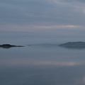 Misty day by Magnus Haellquist