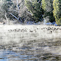 Misty River by Nick Mares Misty River by Nick Mares