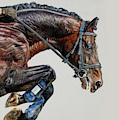 Momentum by Terry Kirkland Cook
