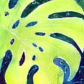 Monstera Tropical Leaves 3 Painting by Carlin Blahnik CarlinArtWatercolor Monstera Tropical Leaves 3 Painting by Carlin Blahnik CarlinArtWatercolor