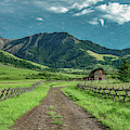 Montana Evening, Tom Miner Basin Photograph by Marcy Wielfaert Montana Evening, Tom Miner Basin Photograph by Marcy Wielfaert