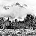 Montana Mist Photograph by Randall Dill Montana Mist Photograph by Randall Dill