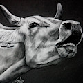 Moo by Terri Mills