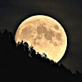 Moonrise Photograph by Dorrene BrownButterfield Moonrise Photograph by Dorrene BrownButterfield