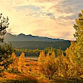 Morning Light Photograph by Dorrene BrownButterfield Morning Light Photograph by Dorrene BrownButterfield