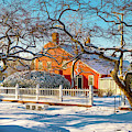 Morning Light, Winter Garden. Photograph by Jeff Sinon Morning Light, Winter Garden. Photograph by Jeff Sinon