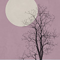 Morning Tree by Naxart Studio Morning Tree by Naxart Studio