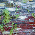 Moss On Old Fence by Sheila Smart Fine Art Photography Moss On Old Fence by Sheila Smart Fine Art Photography