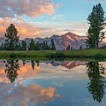 Mt. Dana Reflection, Tioga Pass Photograph by Tim Fitzharris Mt. Dana Reflection, Tioga Pass Photograph by Tim Fitzharris