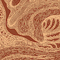 Mud Wave 2 - Abstract Lines - Terracotta Abstract - Modern, Contemporary Print - Brown, Burnt Orange by Studio Grafiikka Mud Wave 2 - Abstract Lines - Terracotta Abstract - Modern, Contemporary Print - Brown, Burnt Orange by Studio Grafiikka