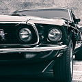 Mustang Dream Photograph by Carrie Hannigan Mustang Dream Photograph by Carrie Hannigan