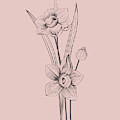 Narcissus Blush Pink Flower by Naxart Studio Narcissus Blush Pink Flower by Naxart Studio