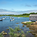 Nashaquitsa Pond On Martha's Vineyard by Brendan Reals Nashaquitsa Pond On Martha's Vineyard by Brendan Reals