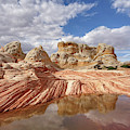 Natural Architecture Photograph by Leda Robertson Natural Architecture Photograph by Leda Robertson