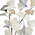 Neutral Ginko Stems I by Lanie Loreth Neutral Ginko Stems I by Lanie Loreth