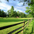 New England Field #1620 Photograph by Michael Fryd New England Field #1620 Photograph by Michael Fryd