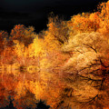 New Look Photograph by Philippe Sainte-Laudy New Look Photograph by Philippe Sainte-Laudy