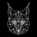 Night Bobcat by Naxart Studio Night Bobcat by Naxart Studio