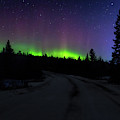 Night Dancer Photograph by Susan Rissi Tregoning Night Dancer Photograph by Susan Rissi Tregoning