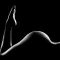Nude woman bodyscape 14 Photograph by Johan Swanepoel Nude woman bodyscape 14 Photograph by Johan Swanepoel
