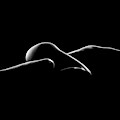 Nude Woman Bodyscape 7 by Johan Swanepoel Nude Woman Bodyscape 7 by Johan Swanepoel