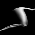 Nude woman bodyscape 9 Photograph by Johan Swanepoel Nude woman bodyscape 9 Photograph by Johan Swanepoel