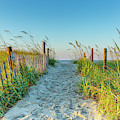 Ocean Isle Beach Path Photograph by Donna Twiford Ocean Isle Beach Path Photograph by Donna Twiford