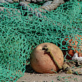 Of The Sea Photograph by Cathy Kovarik Of The Sea Photograph by Cathy Kovarik